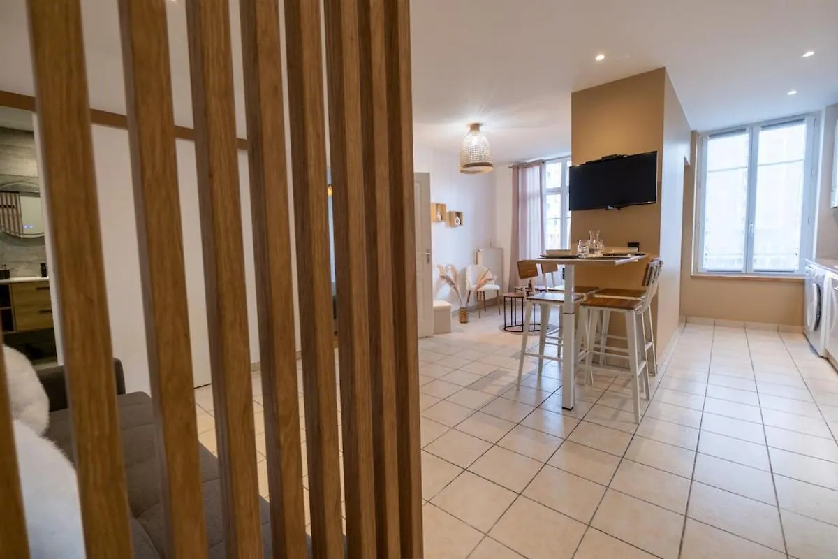 Apartment Cosy, Moderne, Central, Standing Saint-Etienne